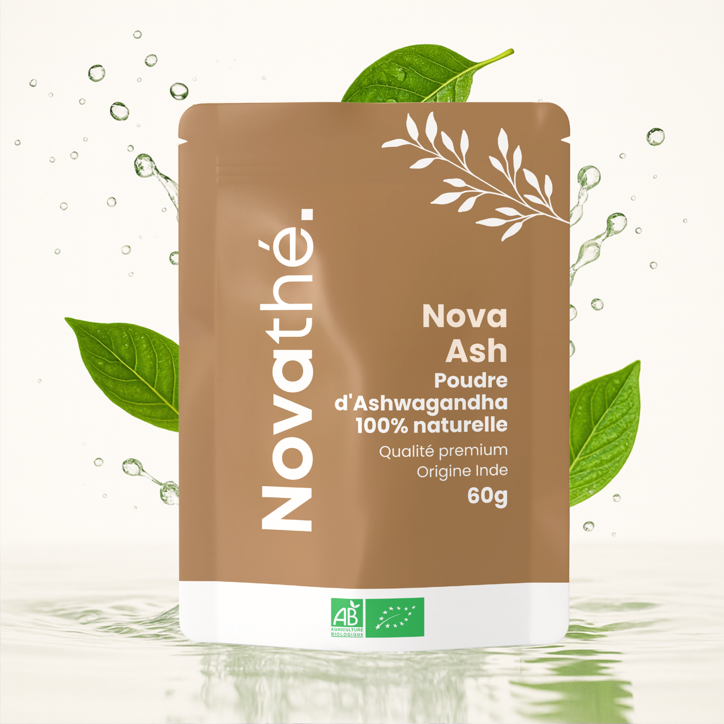 Nova Ash