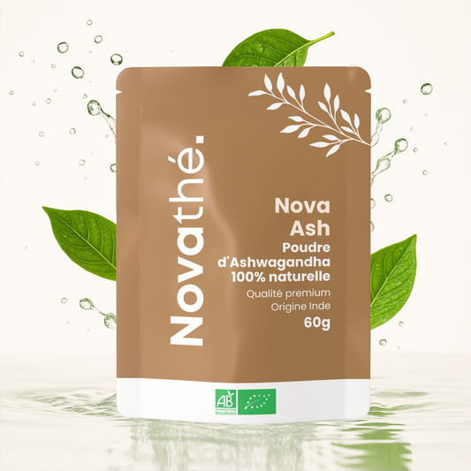 Nova Ash